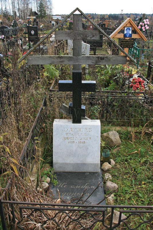 dudintsev-vd-old