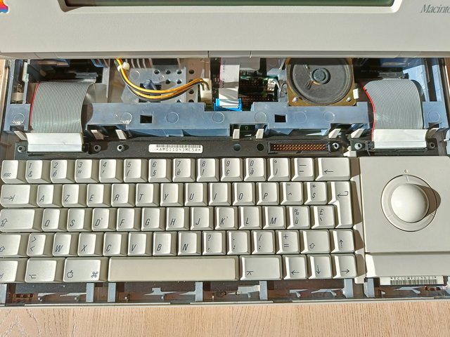 IMG20220318095033.jpg