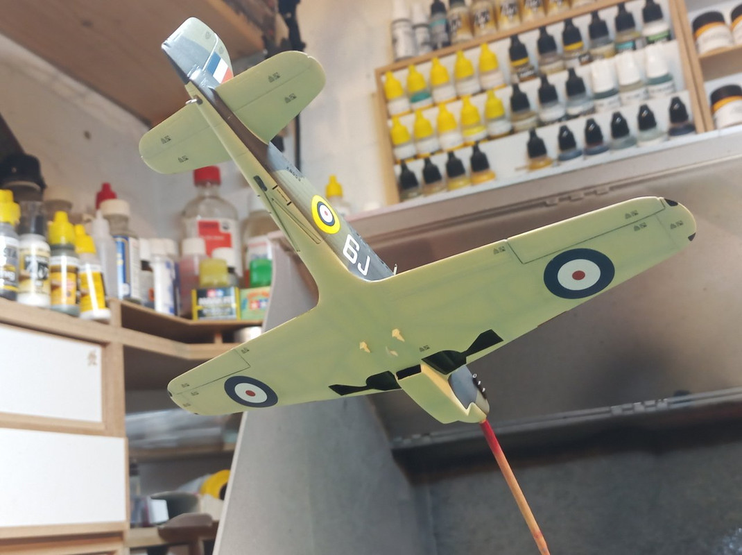 IMG_20241008_181451_039