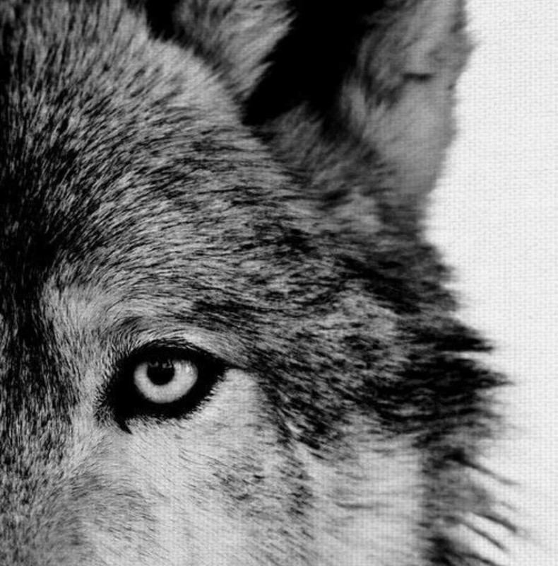 [Слика: 387623539-1091329592233415-3869106747567805516-n.jpg]