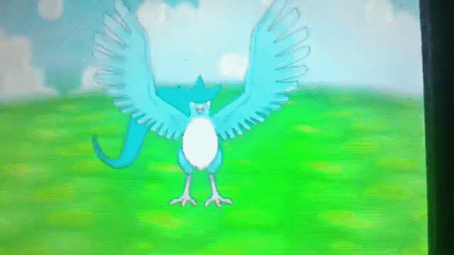 ezgif-79366ba8fab29376.gif