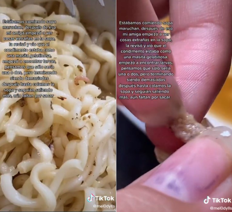 Aparecen enormes gusanos en sopa instantánea, ‘parecían masa’ dijo la afectada