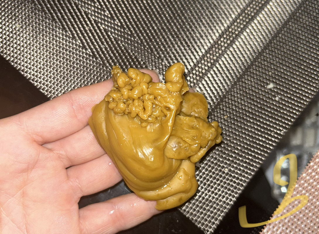 5D0708F9-F768-41E4-BA36-A97FE62A3436