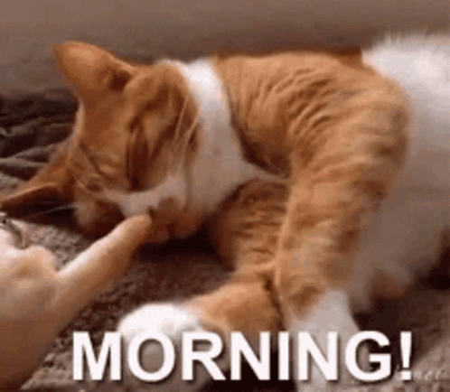 good-morning.gif