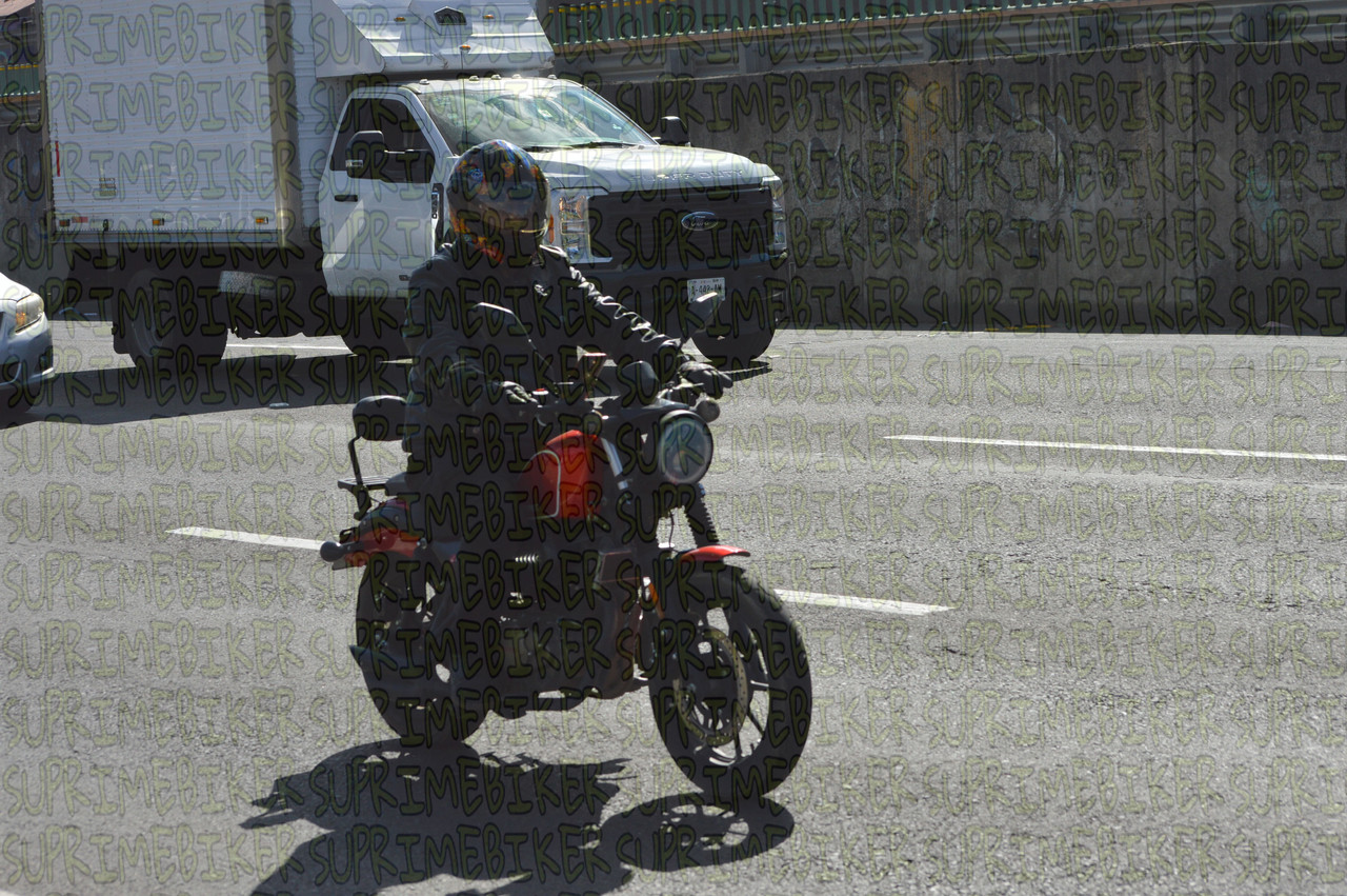 DSC 0331
