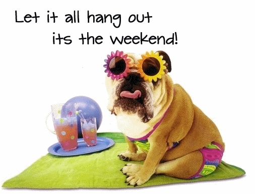 Weekend-Dog
