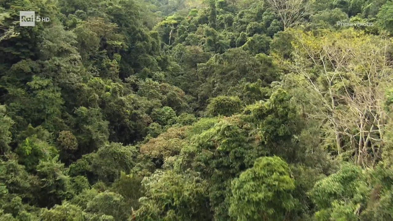 Rai 5 HD confronto (1)