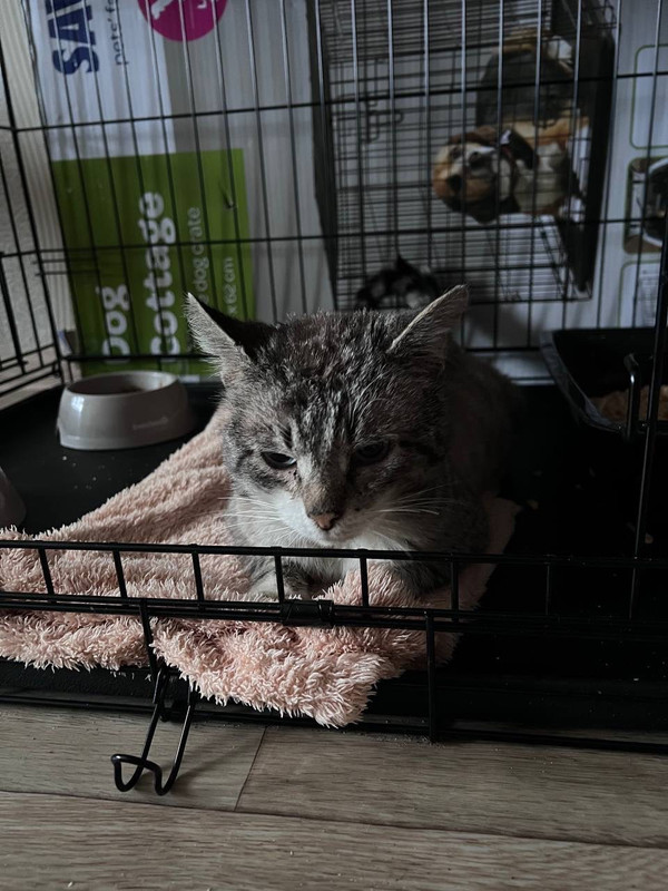 94B2D1B2-3C7A-431D-9FA5-4ECA4D8D6FD2