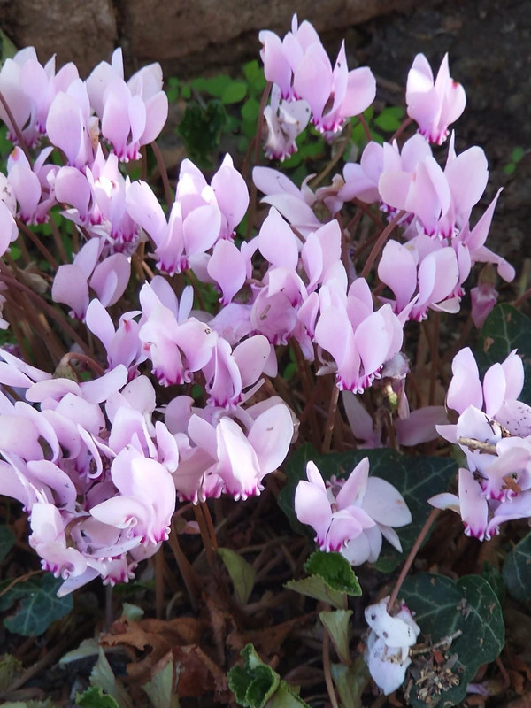 805A7F73-ED9E-4441-A858-507AC7E5CBA3