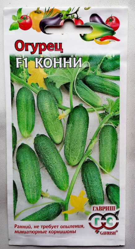 Купить Семена Огурцов Конни