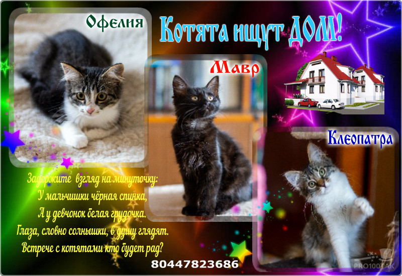 pro100tak-1_7_2019-15_36_20