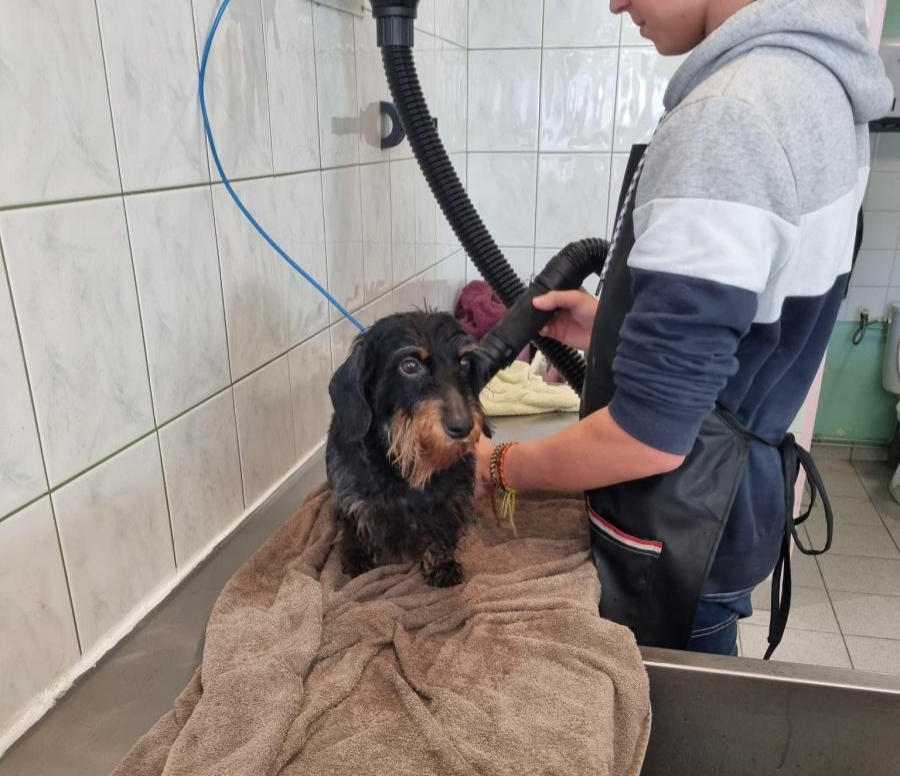 [Image: 20221127-161900.jpg]