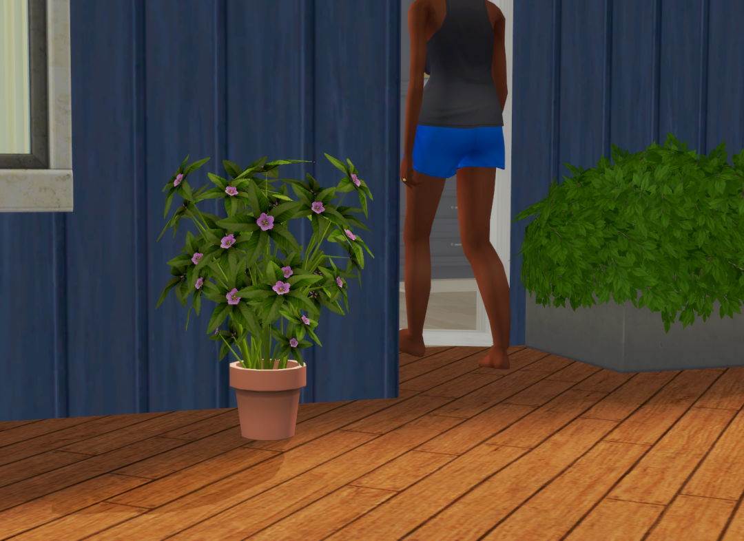 Sims2-EP9-RPC-2023-10-20-19-29-53-62