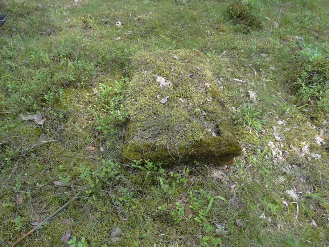 05 - DSC04076 (Czesio1)