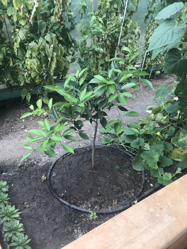 B748F43E-CE52-4C06-B32B-76E50E880A43