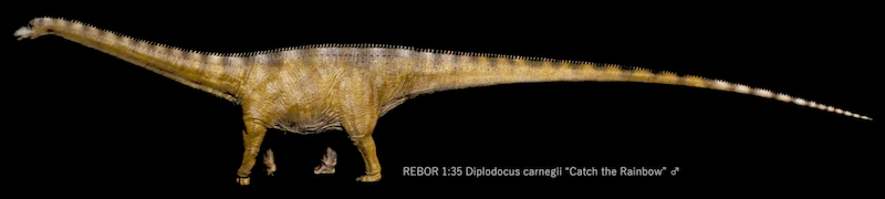 2023 Prehistoric Figure of the Year, time for your choices! - Maximum of 5 Rebor-Diplodocus-bull