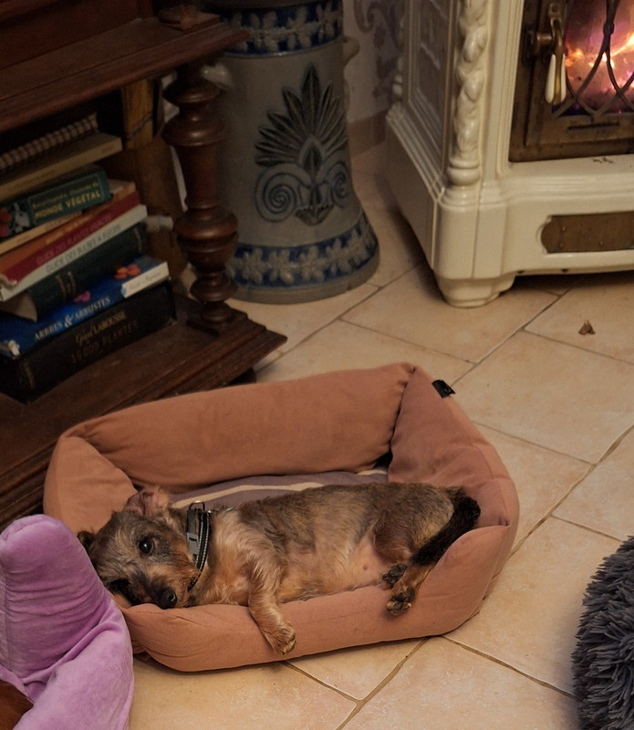 [Image: 20251123-180656.jpg]