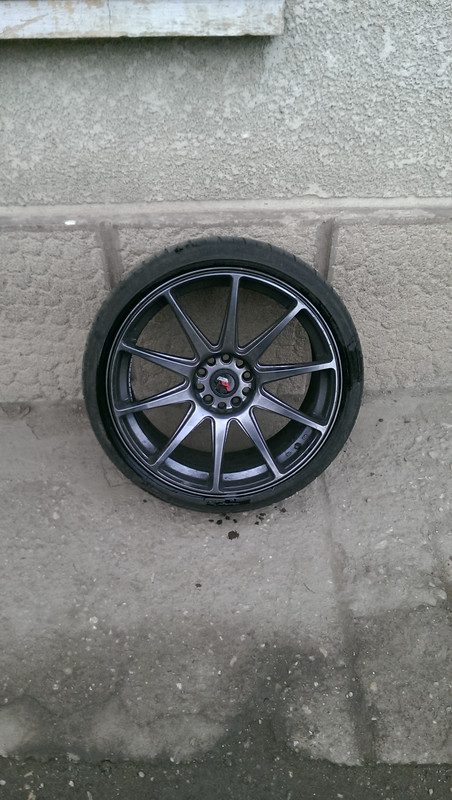 IMAG0452