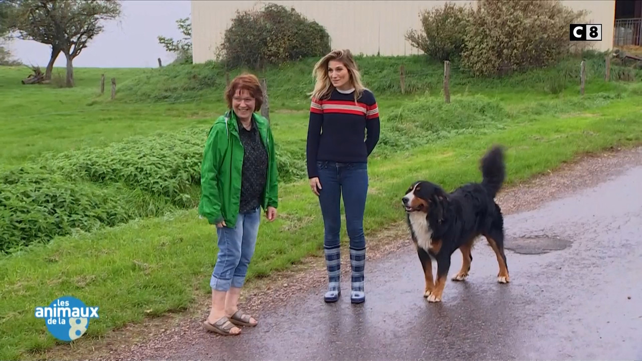 2020-04-27_08_45_C8_Les-animaux-de-la-8.mp4_snapshot_02.09.36_[2020.05.08_17.07.42]