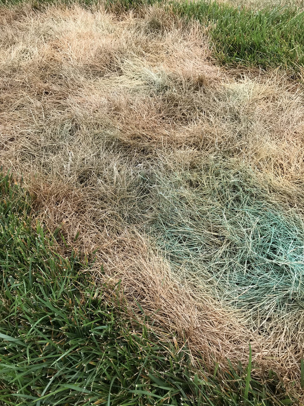 46618C1E-44BD-4FD1-8B6A-40283C3F1299