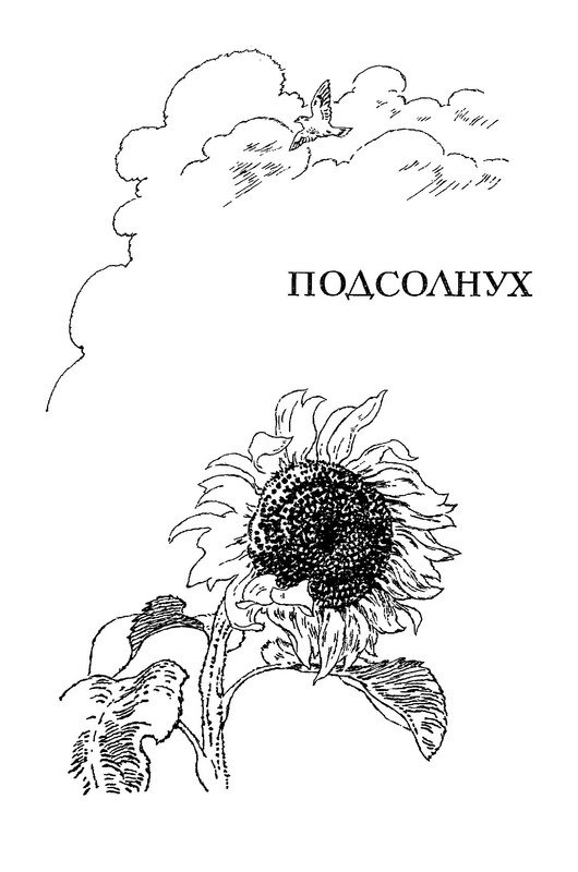 p0011