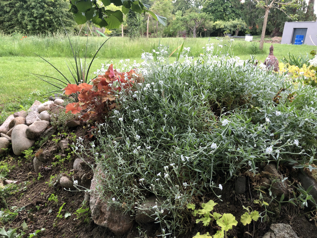 A1B2B9B8-1CAA-492E-9527-623CC186E79B