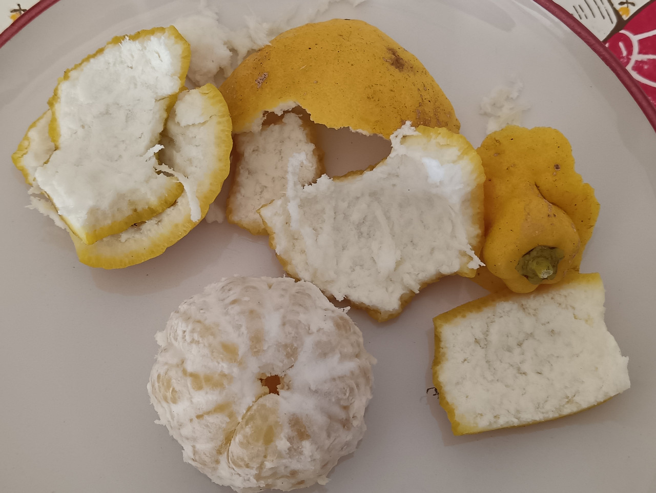 IMG 20251227 110443 edit 459400882726381