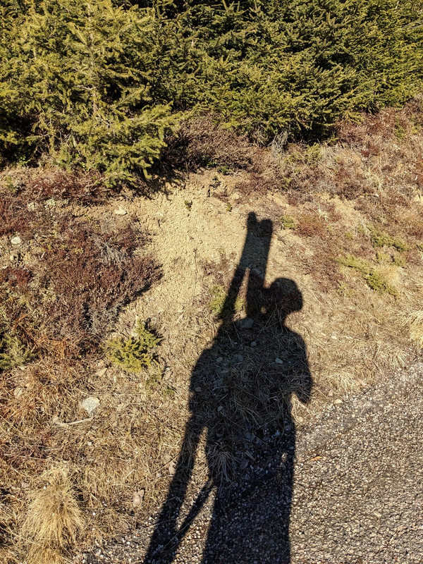 PXL_20230213_140109831