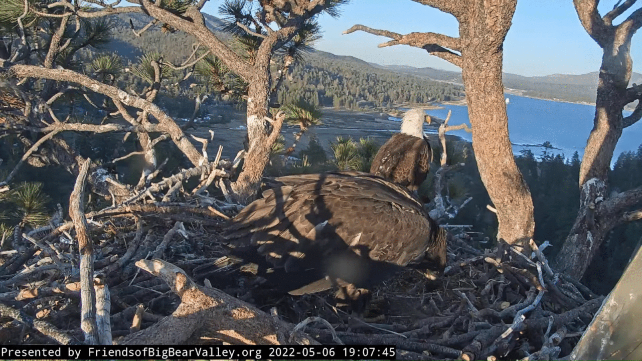 Webp.net-gifmaker (10)