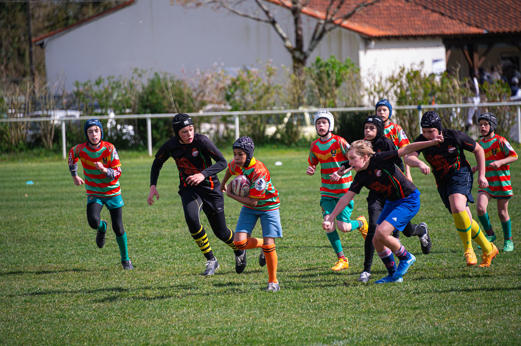 tournoi-de-latlantique-2026-adonis-griffon-20-55181695260-l