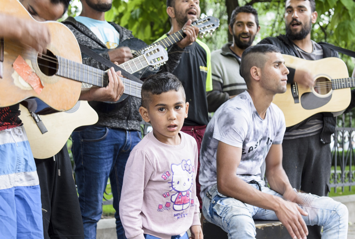 DSC_4566_Detail Extractor (CEP 4)