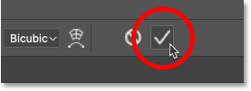 checkmark
