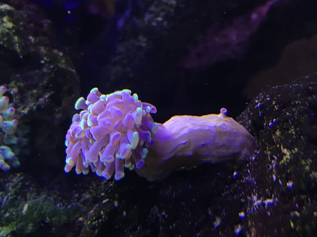 6D917E71-AC9B-4856-84C5-4E38A8FBAA36