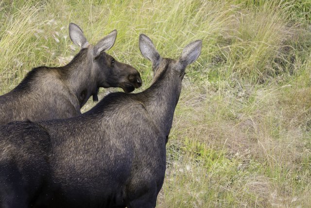 dnp (1 of 1)-8 - Copy