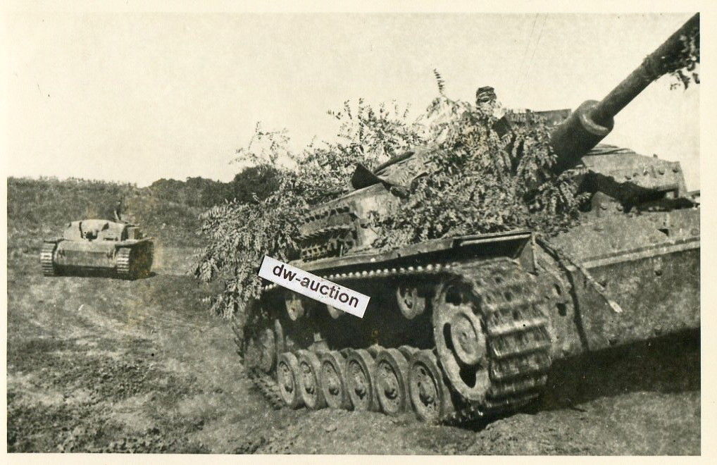 Sturmgeschütz Langrohr auf der Krim