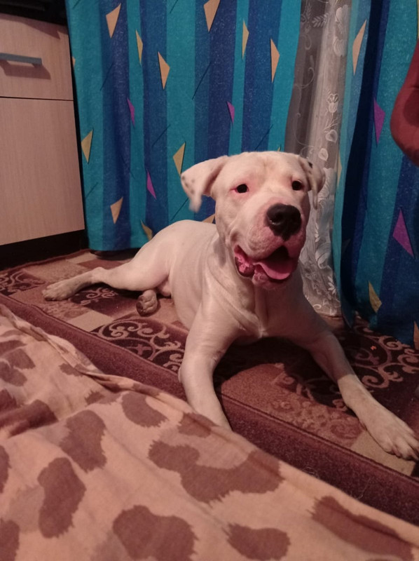 E15DFD2C-B6A1-453A-8027-8E154C49F180