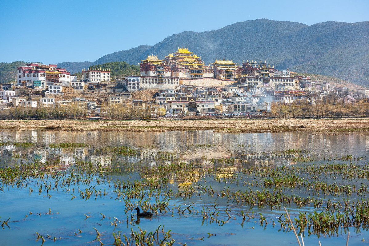 Yunnan 2019 - Blogs de China - Dia 8 - Shangrila, Monastery Songzanglin y Potatso National Park (7)