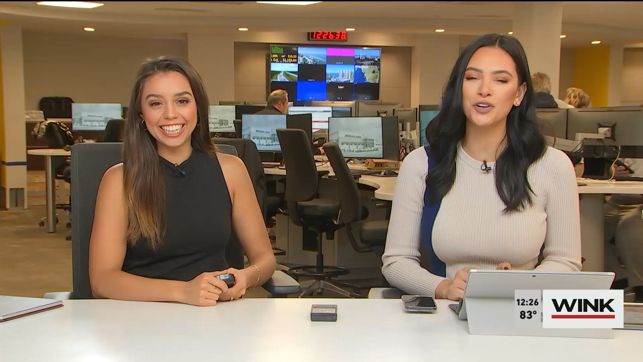 10.27 - 17.00.00 - The WINK Noon News  ᴺᵉʷ. Midday news update..ts_snapshot_33.04.345