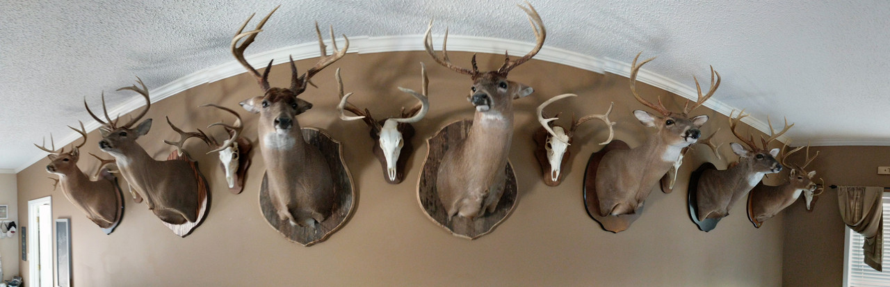 PANO_20180803_162900