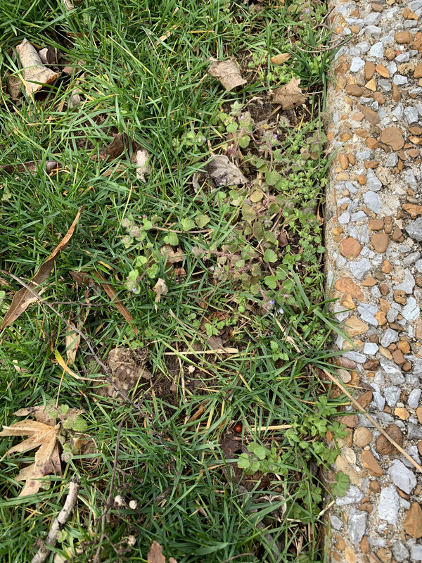 04CFD4B0-A2D0-4065-839B-2118F00867E3