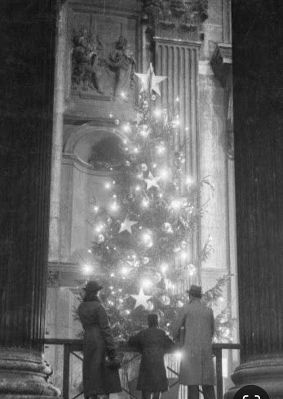 Screenshot_20231212_183022_Pinterest