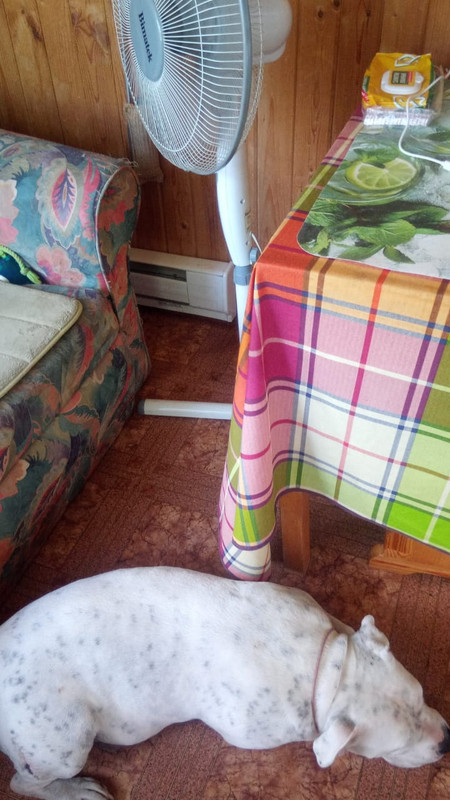 47D6B491-1461-4A8C-9846-8A168AEB2781