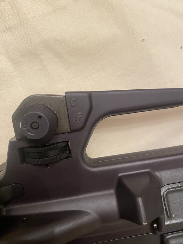 50453341-B18D-4854-A66C-64E128043B3F