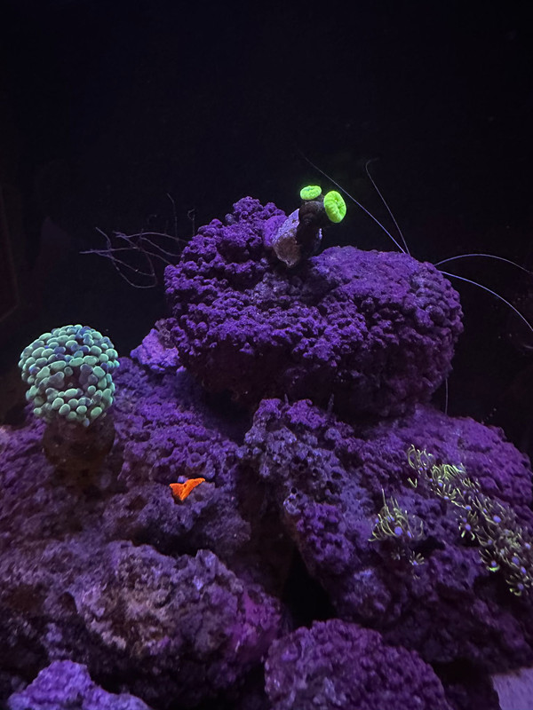 WhatsApp Image 2025-02-20 at 10.30.09(1)