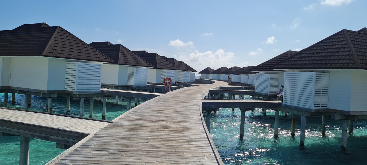 Maldivas: atolón suena a paraíso - Blogs de Maldivas - SUN SIYAM OLHUVELI (12)