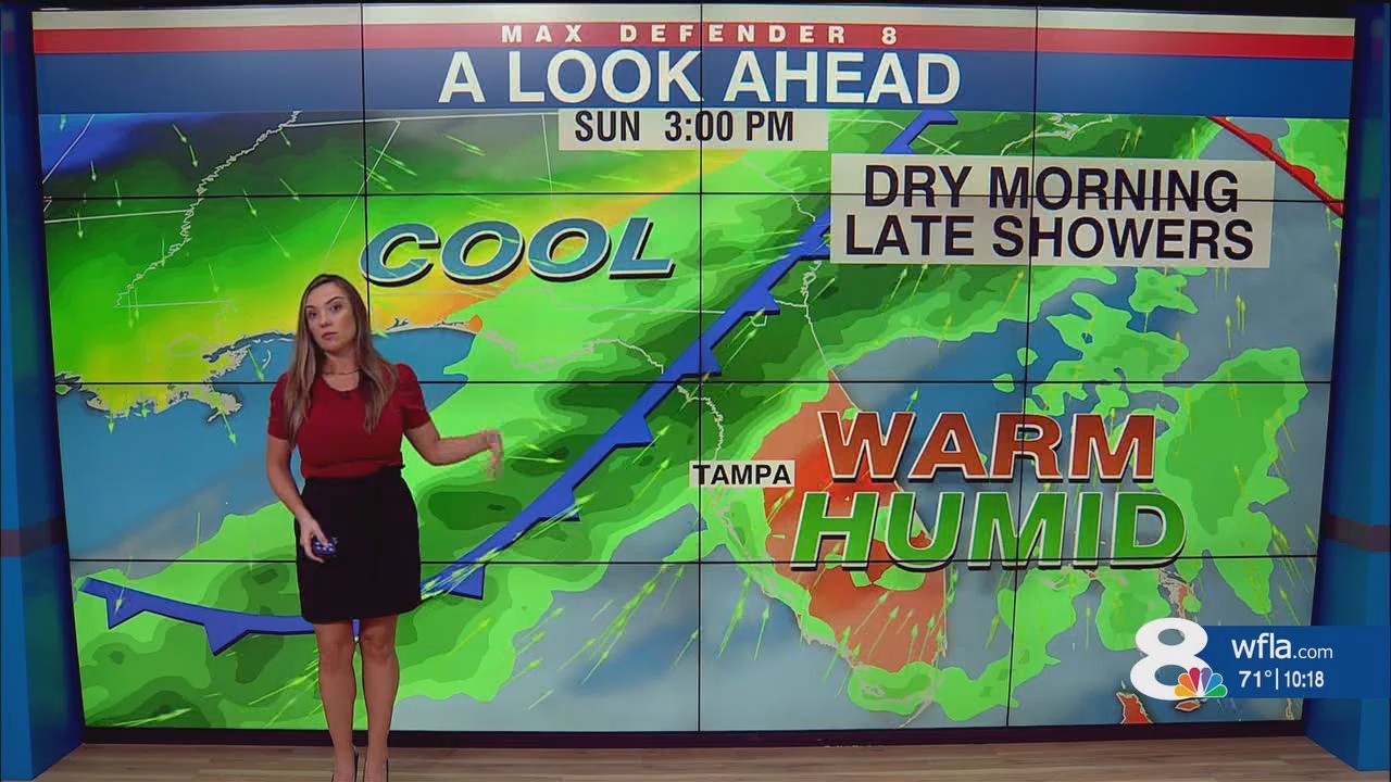 NewsChannel 8 News at 1000pm_20250214_03000330.ts_snapshot_19.15.044