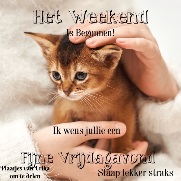 3002628A-0865-435D-BEC3-6571D6BC0AA2