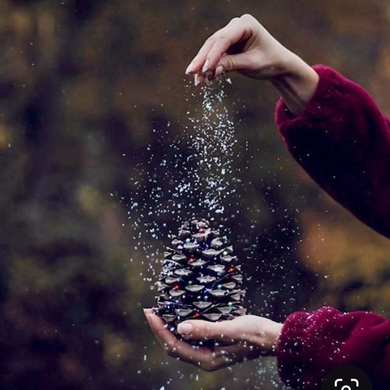 Screenshot_20231210_231659_Pinterest