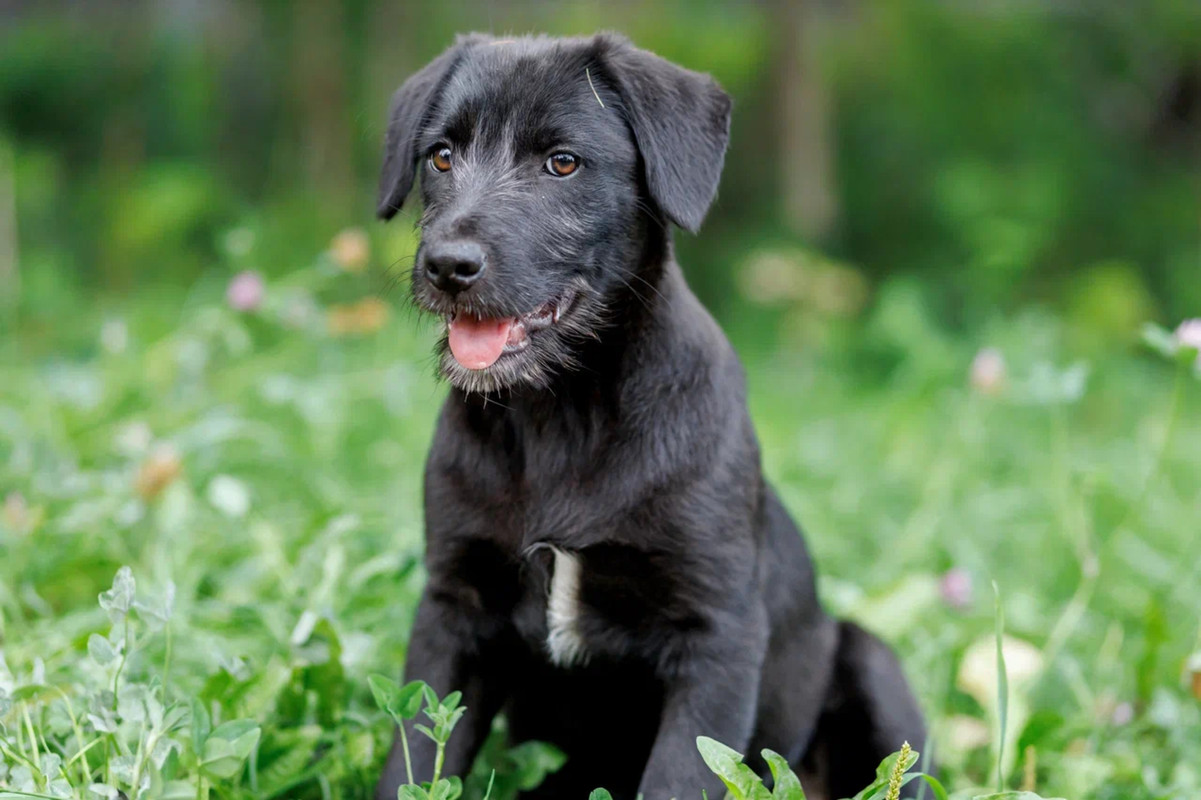 resize-image-online.com_10jpg_5B9SicZ8