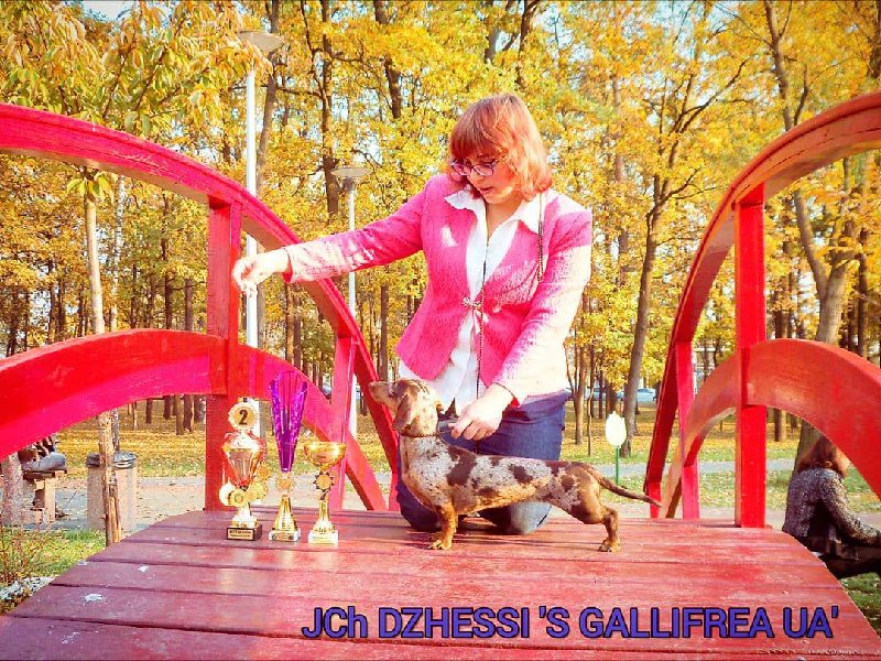 photo_2020-02-03_11-59-27 (2)